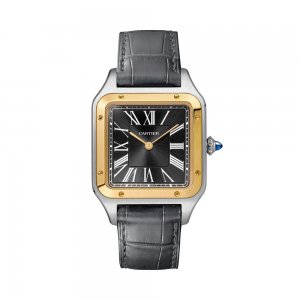 Cartier Santos Dumont 43,5 mm Hommes W2SA0015