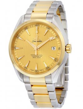 Réplique Omega Seamaster Aqua Terra Acier et 18k Jaune Or Automatique 231.20.42.21.08.001