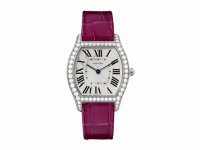 Réplique Montre Cartier Tortue argented Flinque Dial Femmes WA501009