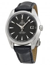 Réplique Omega Seamaster Aqua Terra 231.13.42.21.06.001