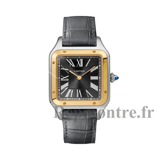 Cartier Santos Dumont 43,5 mm Hommes W2SA0015 - Cliquez sur l'image pour la fermer