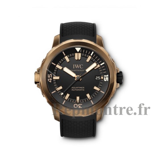 Réplique montre IWC Aquatimer Edition Collectors Forum IW341001 - Cliquez sur l'image pour la fermer