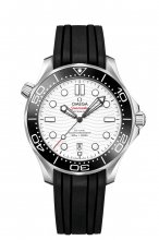 AAA Réplique Montre OMEGA Seamaster Acier 210.32.42.20.04.001