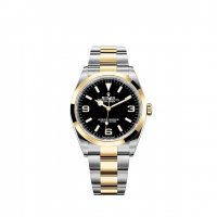 Replique Rolex Explorer Rolesor Oystersteel and 18 ct yellow gold M124273-0001 montre