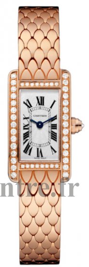 Réplique Montre Cartier Tank Americaine argented Flinque Dial Femmes WB710012 - Cliquez sur l'image pour la fermer