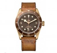 Réplique Tudor Heritage Automatique Hommes Bronze 79250BM-BRBRLS