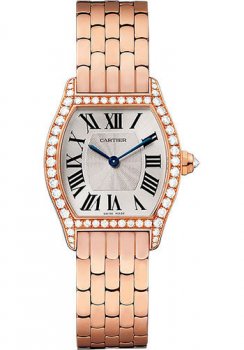 Réplique Montre Cartier Tortue WA501010 argented Flinque Dial Femmes