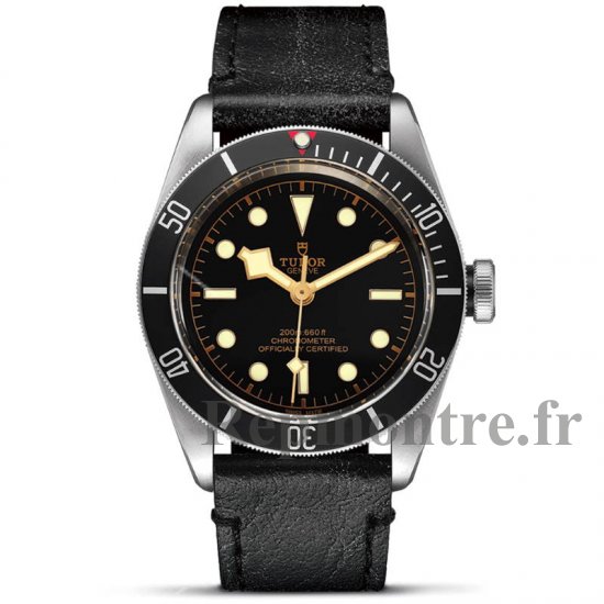 Réplique Tudor Black Bay montre 41 mm M79230N-0008 - Cliquez sur l'image pour la fermer