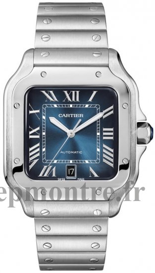 Cartier Santos De Cartier 39,8 mm WSSA0030 - Cliquez sur l'image pour la fermer