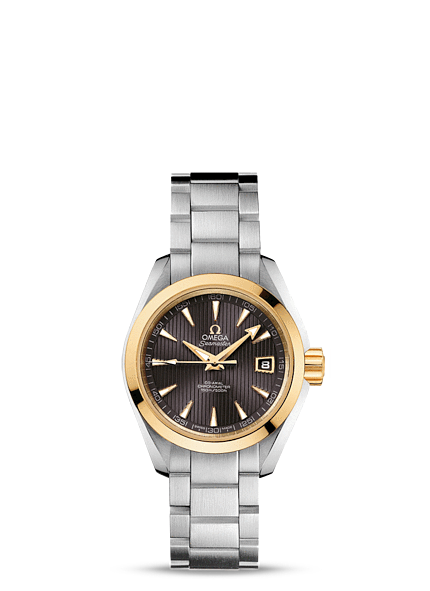 Réplique Omega Seamaster Aqua Terra Automatique Montre 231.20.30.20.06.004